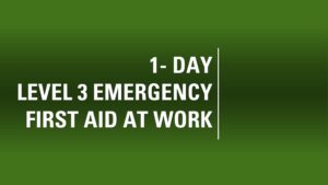 1 Day Emergency First Aid at Work Level 3
