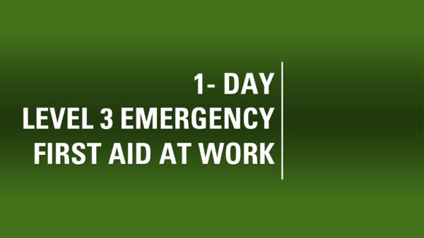 1 Day Emergency First Aid at Work Level 3